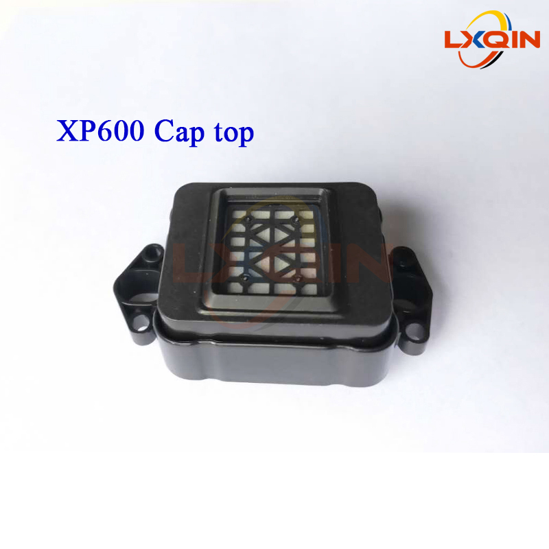 LXQIN ĸ ̼,  XP600 TX800 DX9 DX11 Ʈ..